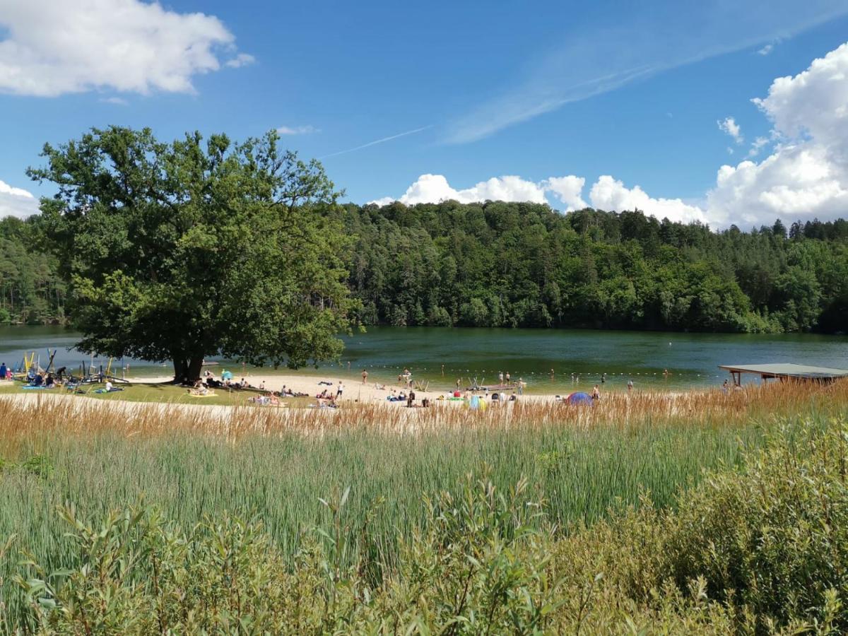 Blockhaus Am Twistesee Mit 3 Schlafzimmern Bad Arolsen Bagian luar foto